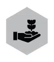 Stewardship icon